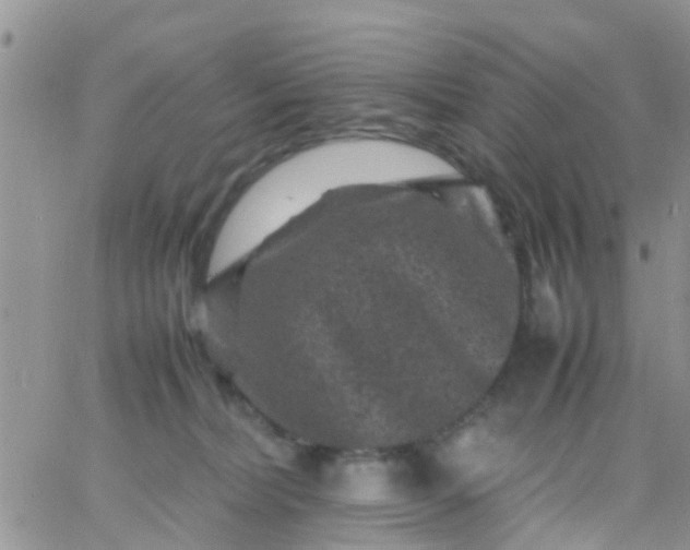 X0000065980228200603172123