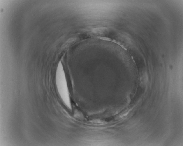 X0000065980231200603172123