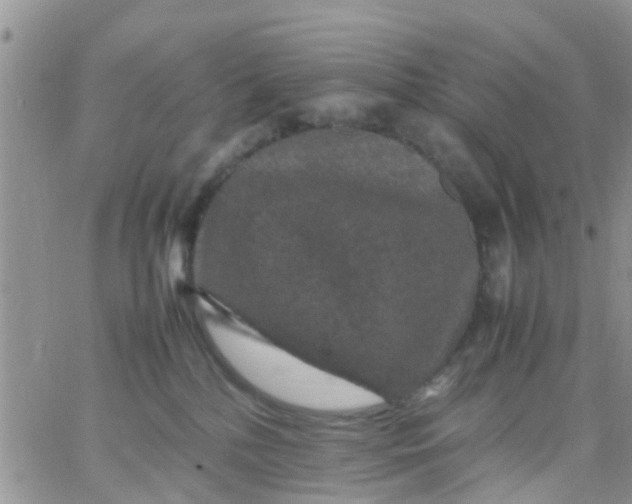 X0000065980232200603172123