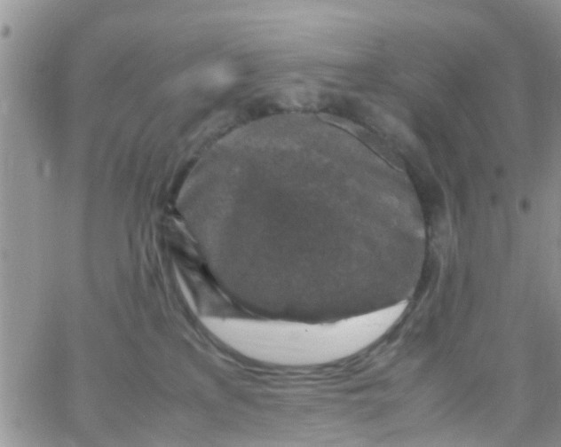 X0000065980233200603172123