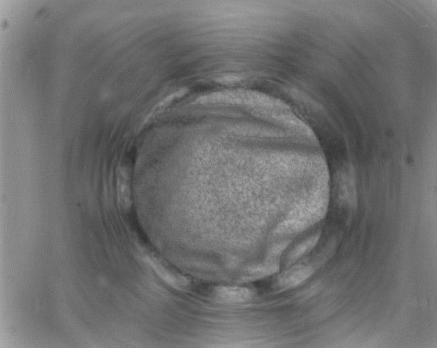 X0000065980234200603172123