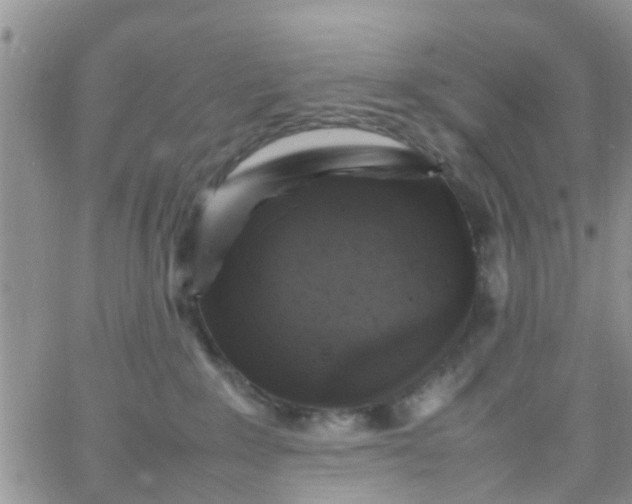 X0000065980235200603172123