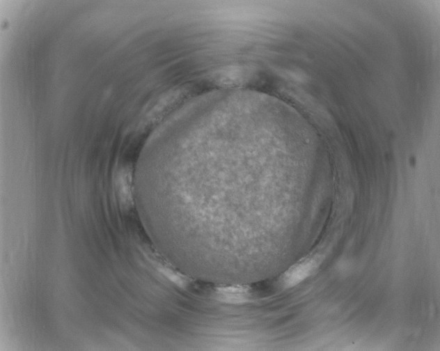 X0000065980240200603172123