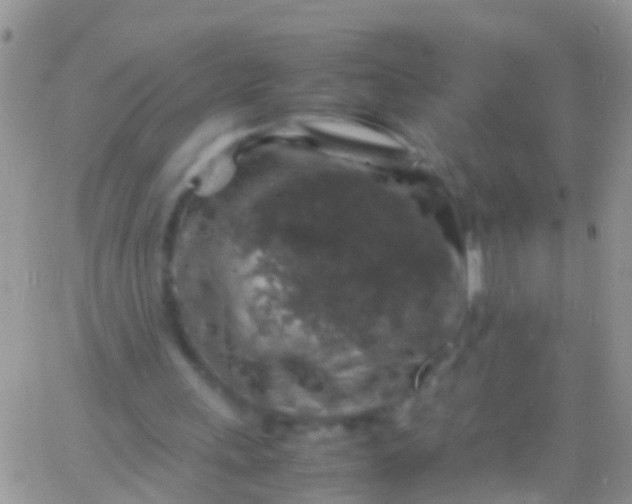 X0000065980243200603172122