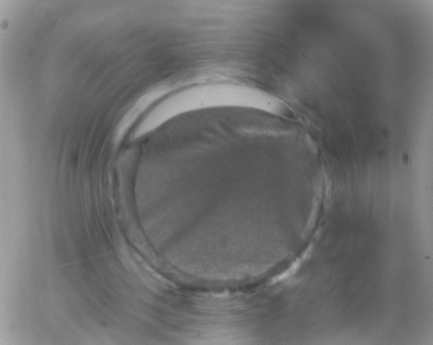 X0000065980244200603172122