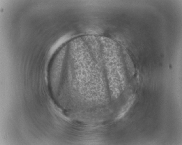 X0000065980246200603172122