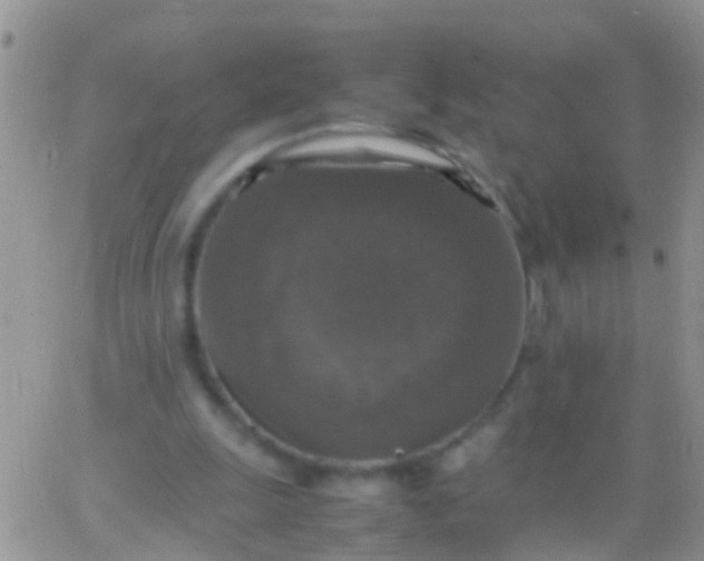 X0000065980247200603172122