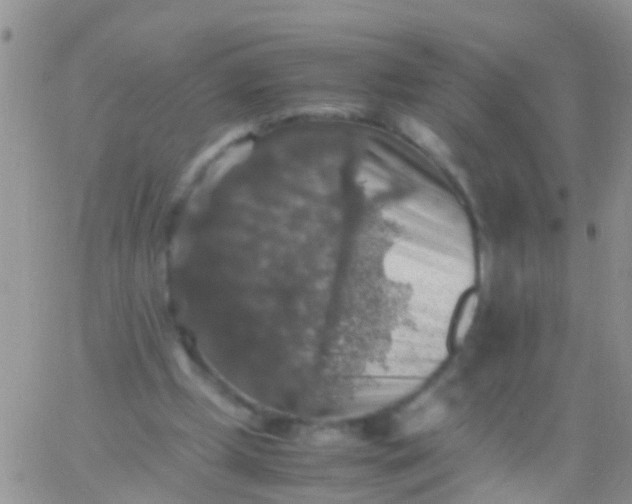 X0000065980249200603172122