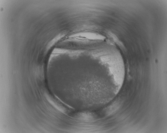 X0000065980250200603172122