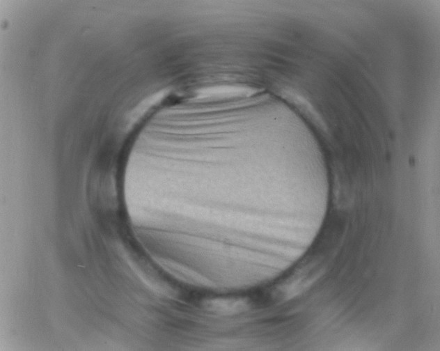 X0000065980251200603172122