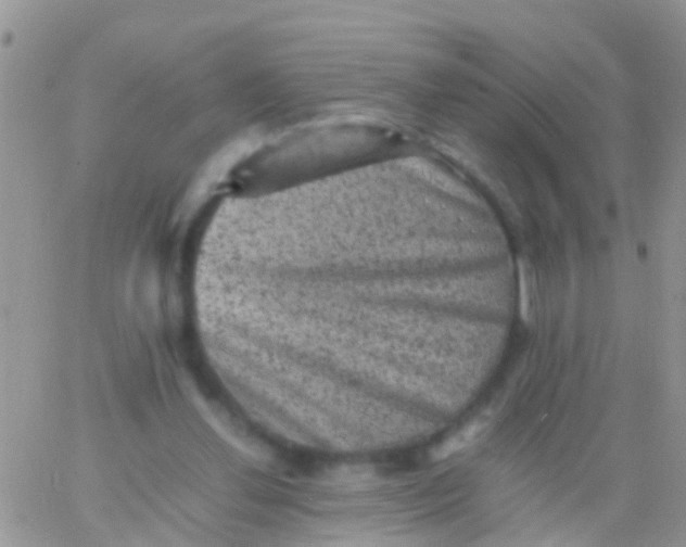 X0000065980252200603172122