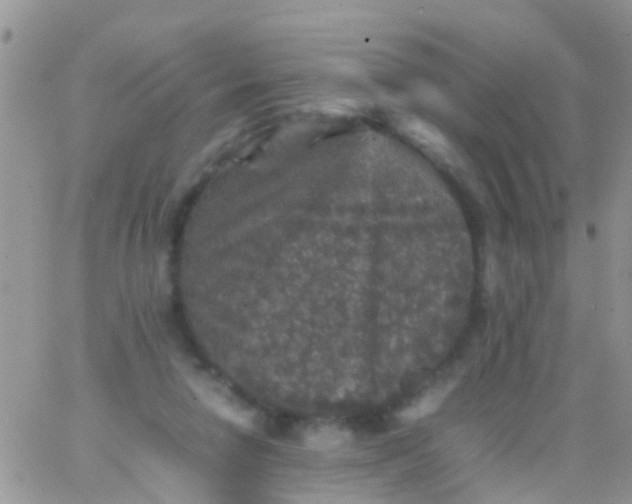 X0000065980258200603172122