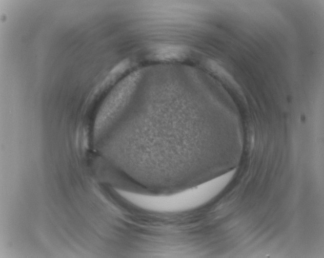 X0000065980260200603172122