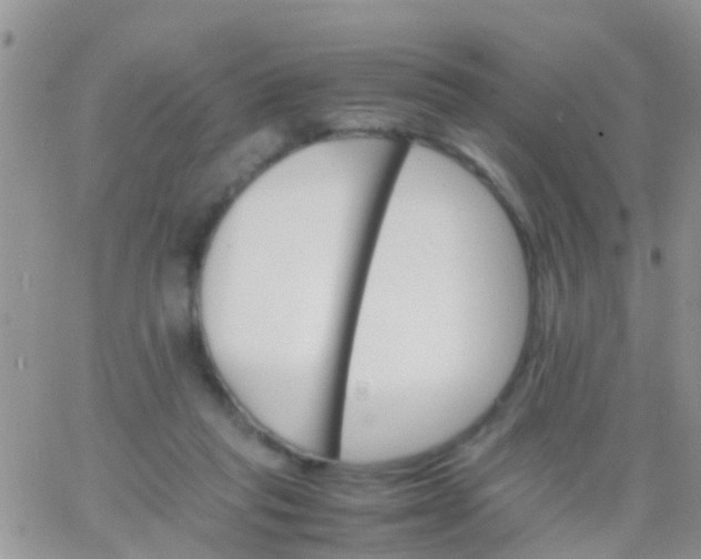 X0000065980261200603172122