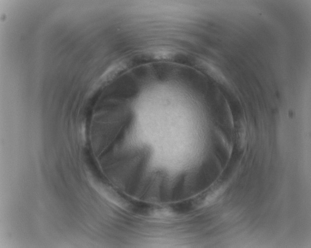 X0000065980262200603172122