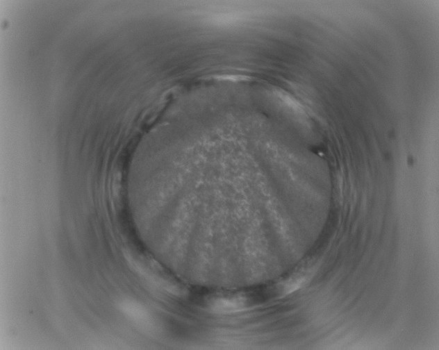 X0000065980263200603172122