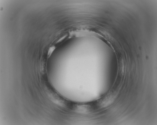 X0000065980268200603172122