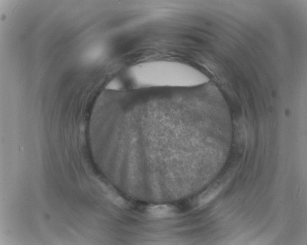 X0000065980269200603172122