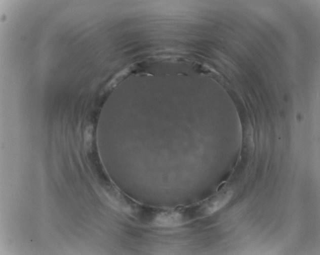 X0000065980271200603172123