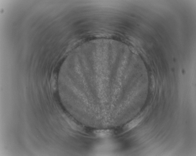 X0000065980273200603172123