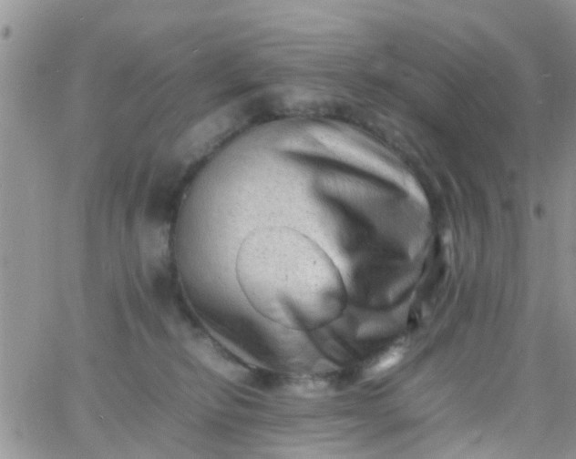 X0000065980278200603172123