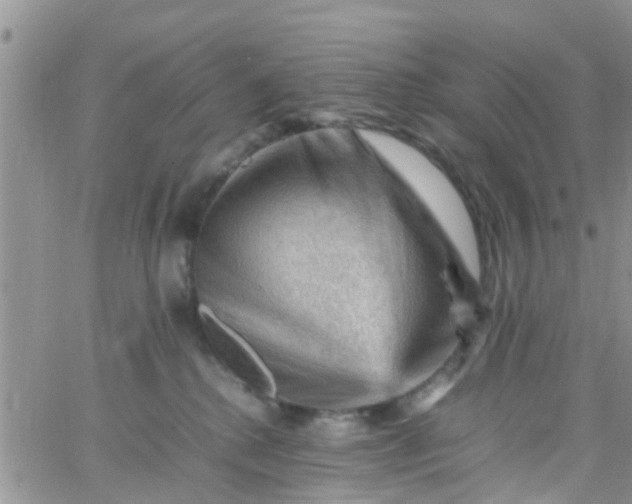 X0000065980280200603172123