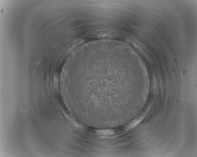 X0000065980281200603172123