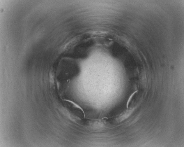 X0000065980282200603172123