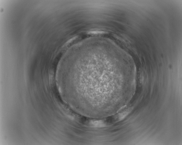 X0000065980283200603172123