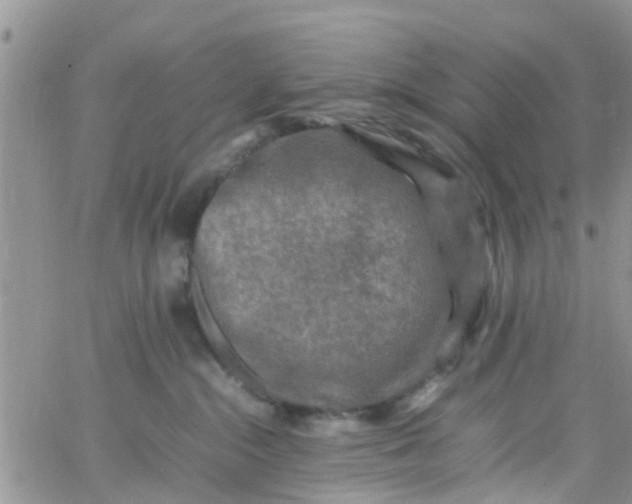 X0000065980284200603172123