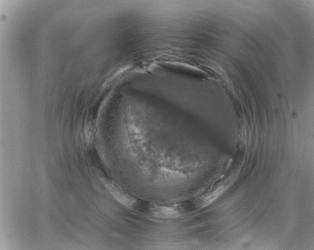 X0000065980285200603172123