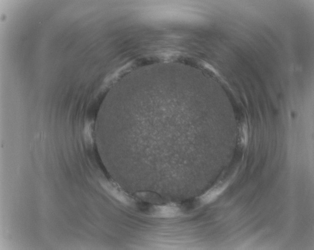 X0000065980286200603172123