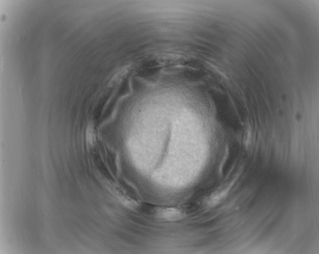 X0000065980287200603172123