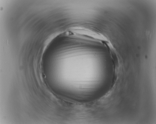 X0000065980289200603172122