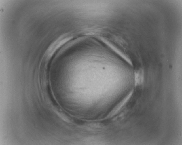 X0000065980291200603172122