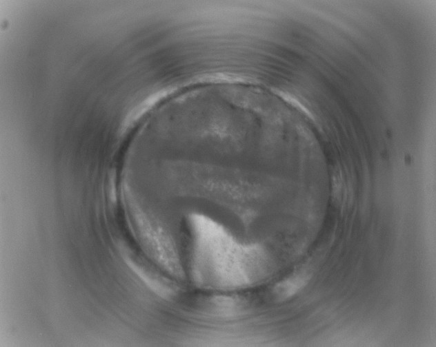 X0000065980302200603172122