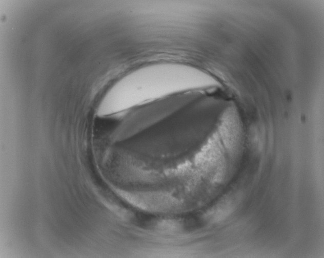 X0000065980303200603172122