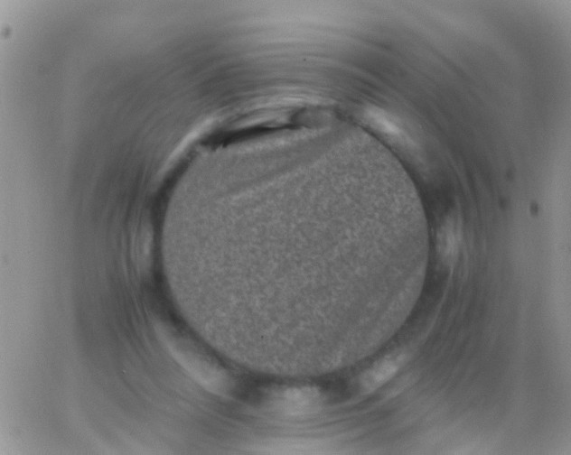 X0000065980304200603172122