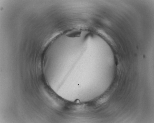 X0000065980306200603172122