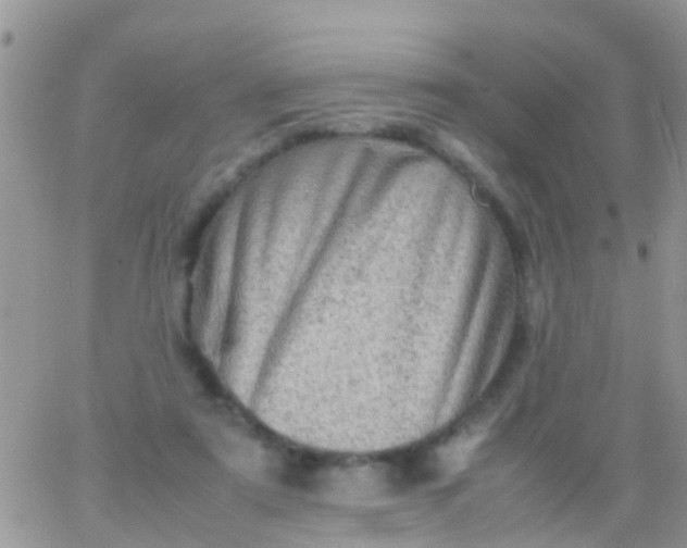 X0000065980307200603172122