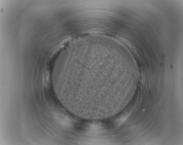 X0000065980308200603172122