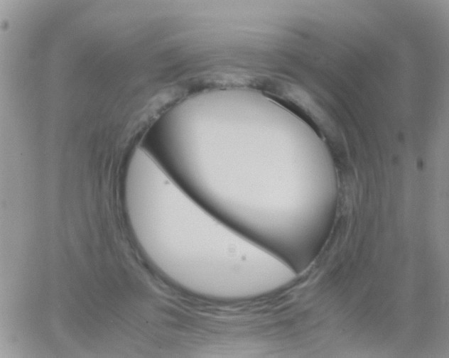 X0000065980309200603172122