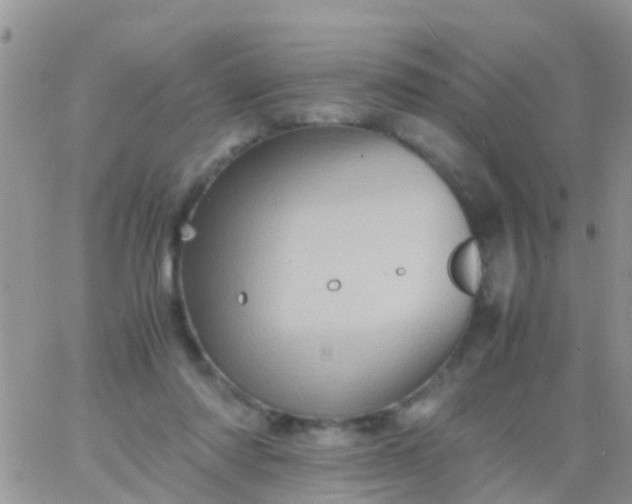 X0000065980310200603172122