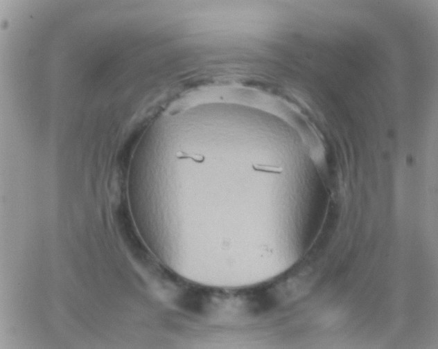 X0000065980311200603172122