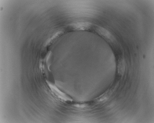 X0000065980314200603172122