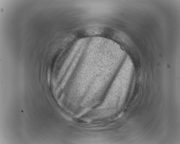 X0000065980315200603172122