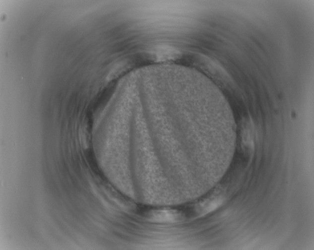 X0000065980316200603172122