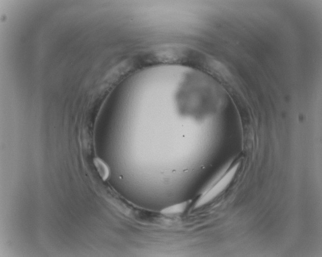 X0000065980317200603172122