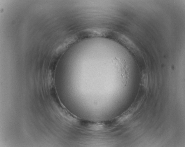 X0000065980318200603172122