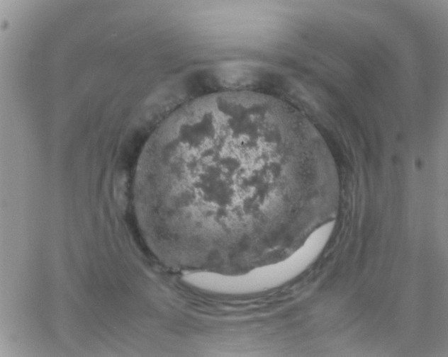 X0000065980319200603172121